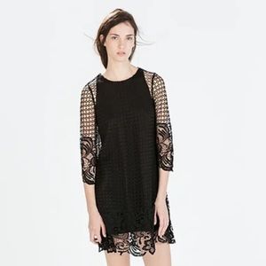 Ark & Co. Black Lace Mini Dress